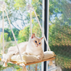 Cat Window Perch Hammock Bed Solid Wood Seat with 4 Strong Suction Cups Soft Cushion Indoor Pet Shelf
