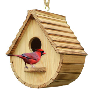 Eco-Friendly Elegant Wooden Birdhouse for Bluebird Finch Cardinals-Outdoor Hanging Garden Viewing