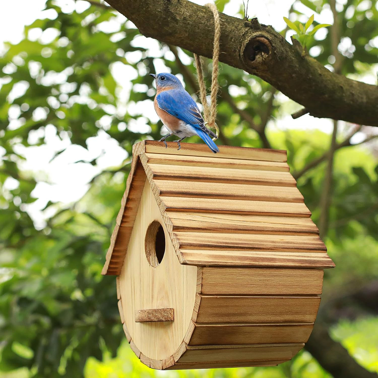 Eco-Friendly Elegant Wooden Birdhouse for Bluebird Finch Cardinals-Outdoor Hanging Garden Viewing - Image 3