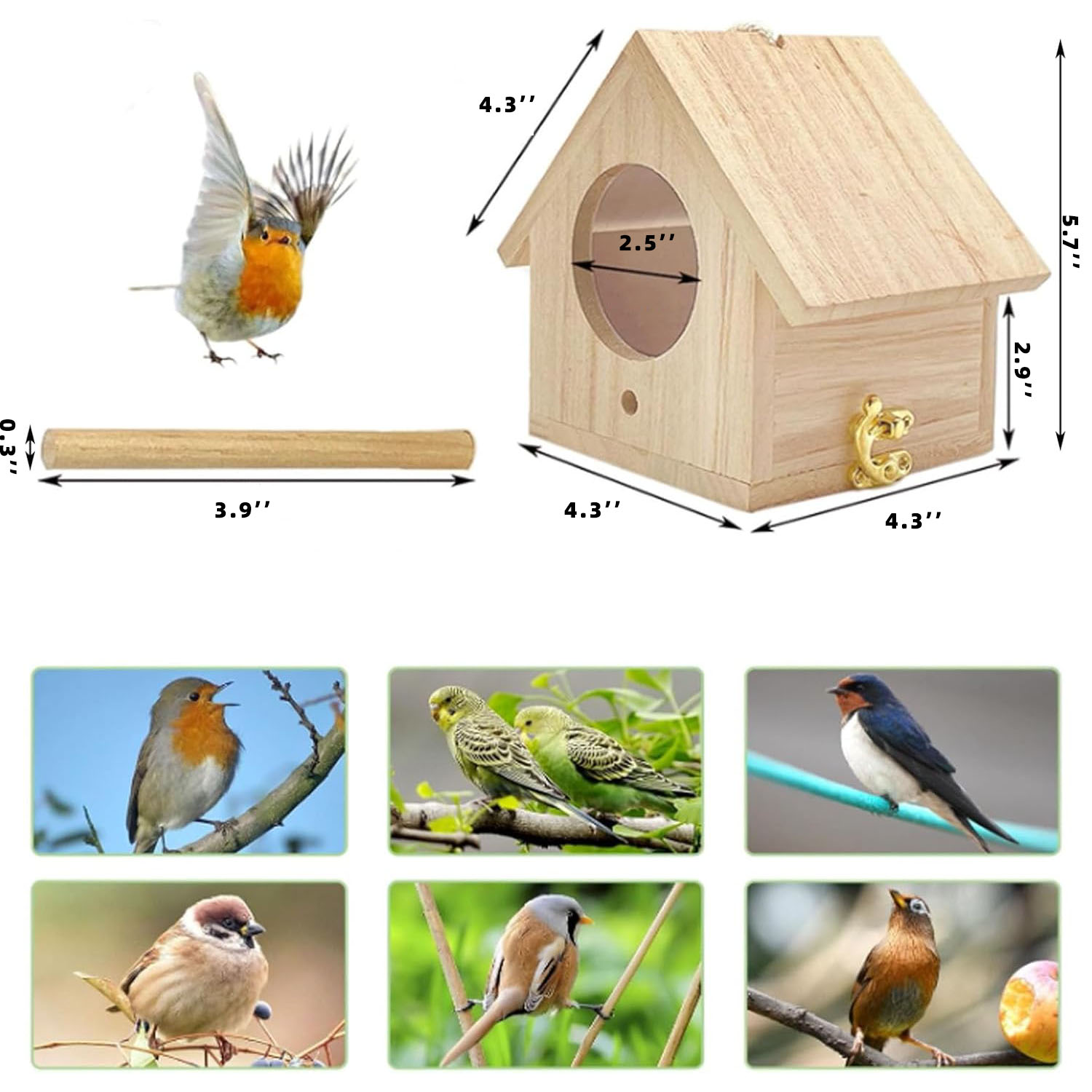 Wooden Bird House Pack 2 Hanging Outdoor Nest Boxes Eco-Friendly & Elegant Design for Garden/Patio DIY Decoration - Image 7