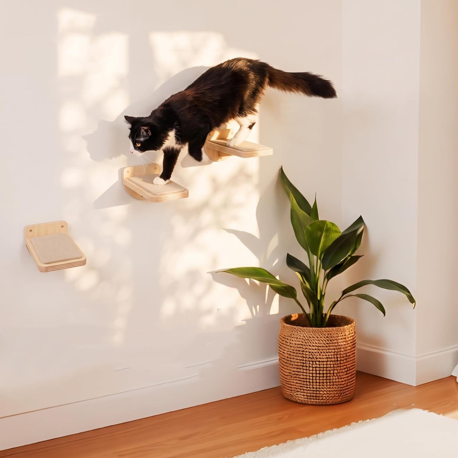 Cat Wall Stairs Natural Wood Sport Style Portable Set 3 Wall Steps Floating Steps Climbing Playing for Adult Cats - Image 5
