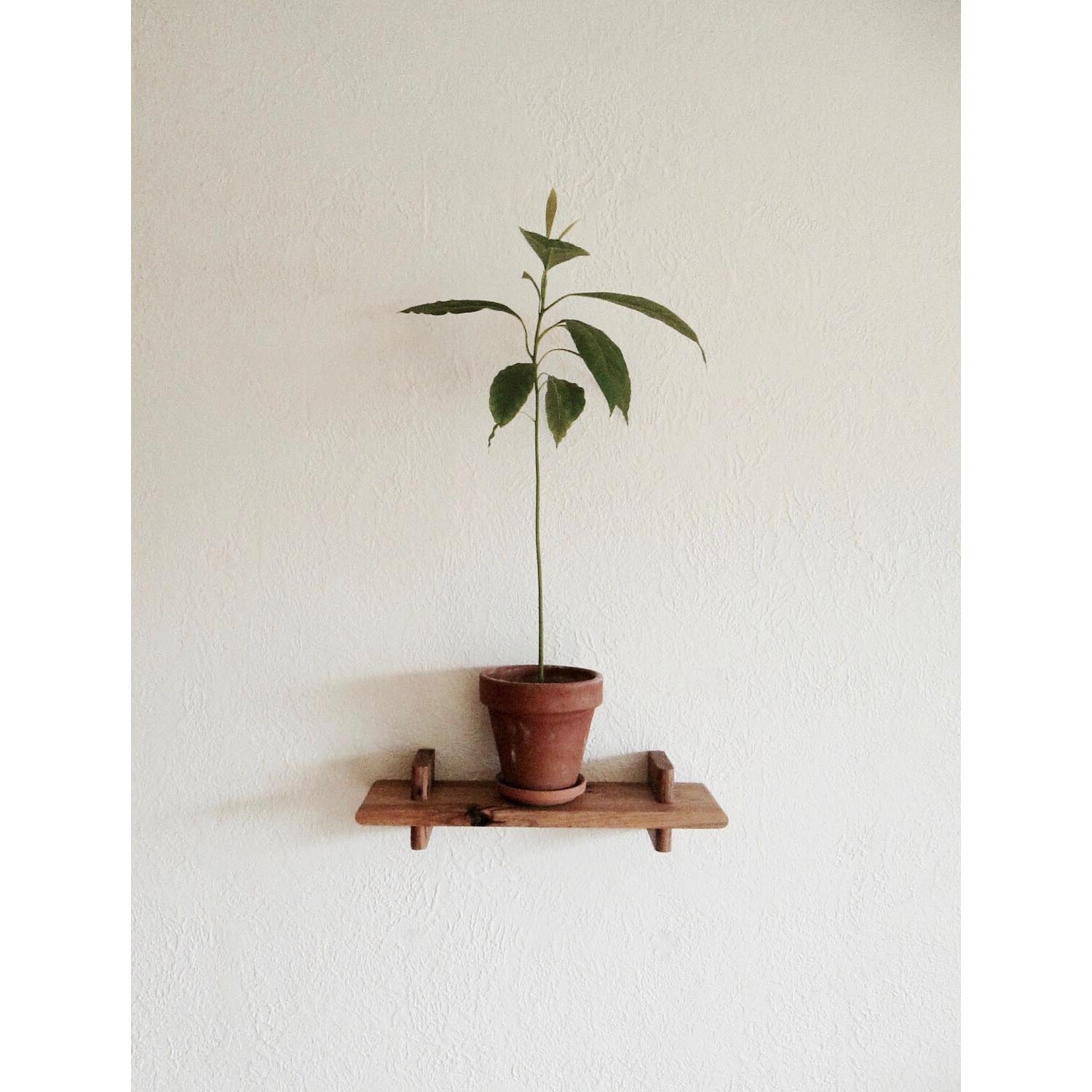 Minimalist Wooden Wall Mounted Storage Shelf – Handcrafted Wall Shelving for Plants & Books, Ideal for Bathroom or Entryway - Image 4
