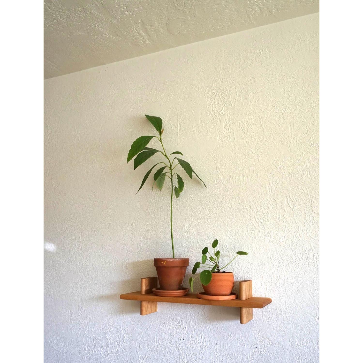 Minimalist Wooden Wall Mounted Storage Shelf – Handcrafted Wall Shelving for Plants & Books, Ideal for Bathroom or Entryway - Image 5