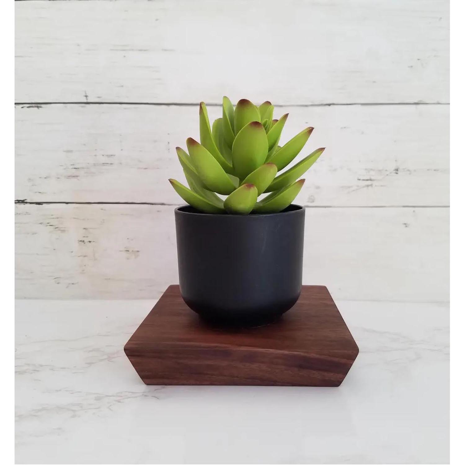 Solid Walnut Wood Display Stand – Ideal Wooden Display Base for Plants, Candles, Vases & Home Decorations - Image 2